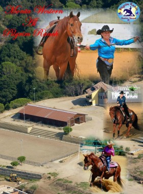 Benvenuti nel nostro sito web - Pilgrim Ranch